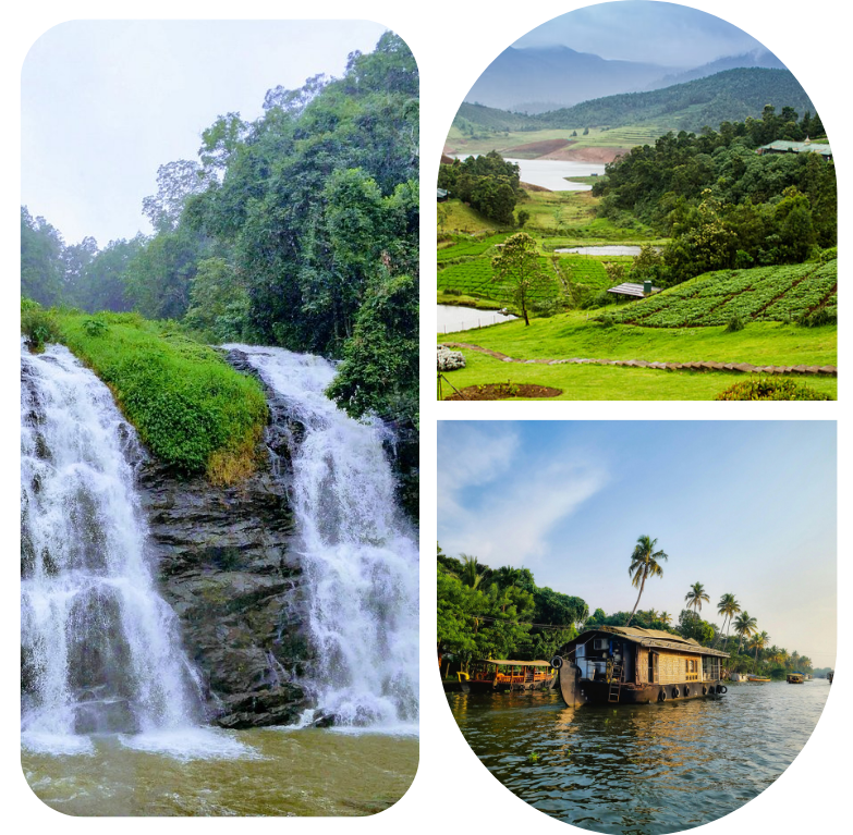 untitled design (15)