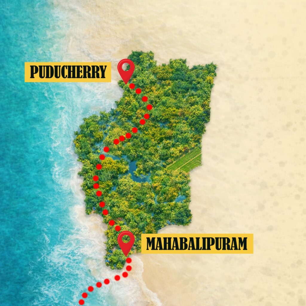 whatsapp image 2026 02 25 at 23.56.39